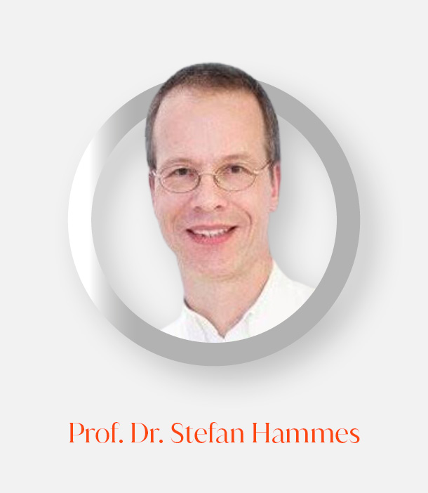 web-banner_ref_hammes